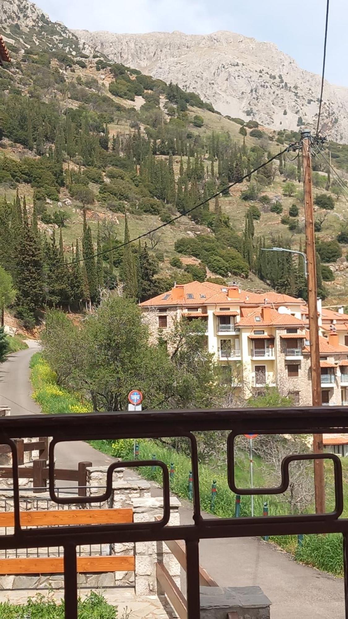 Αρμονια Mounthome Arachova Esterno foto